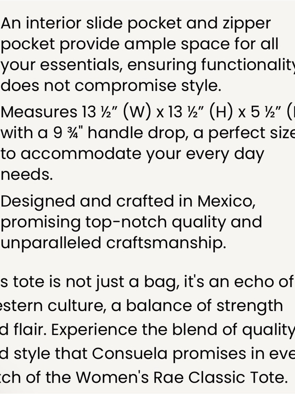 Consuela Classic Rae Tote - Picture 7 of 7